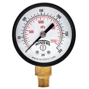 2" X 1 / 8" NPT BOTTOM 0 / 300 PSI / KPA