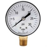 ECONOMY 2" PLASTIC 0-30 PSI ONLY 1 / 4 BTM