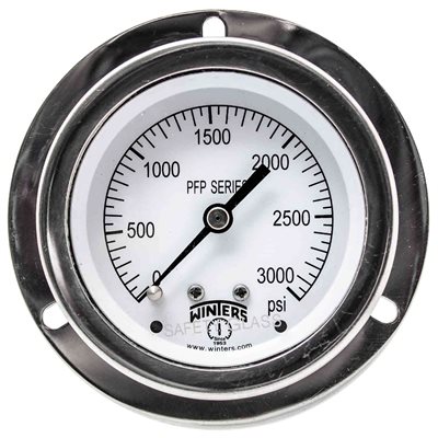 LF / SS 2.5'' 0-3,000 PSI, 1 / 4'' NPT LOWER BACK, FF, NO RESTRICTOR