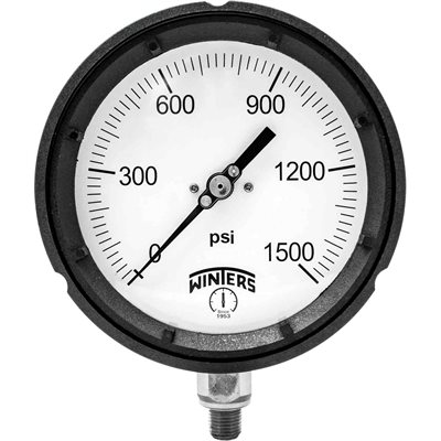 PROCESS 0-1500 PSI ONLY 1 / 4" NPT ST / ST
