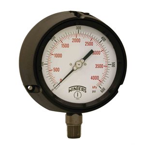 PROCESS 0-600 PSI / KPA 1 / 2" NPT ST / ST